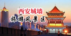搞基视频真人版免费中国陕西-西安城墙旅游风景区
